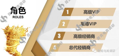 唐淑玉丹消毒产品虚假宣传及四级代理模式解析